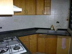 Tanglin View (D3), Condominium #150989062